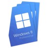 Windows 11 Professional 32/64-Bit - 3 Keys