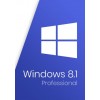 Windows 8.1 Professional Key