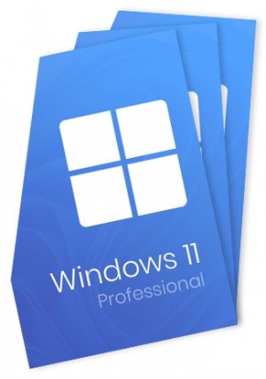 Windows 11 Professional 32/64-Bit - 3 Keys
